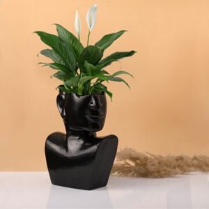 Face Vase